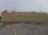 40' Shipping container cargo unit storage box open doors standard lock box waist high handles Double Doors